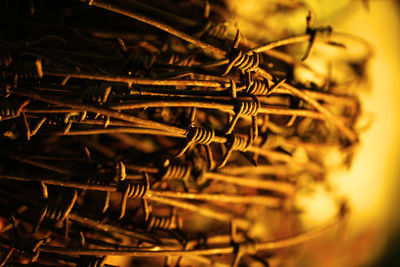 Detail shot of cropped barbed wire