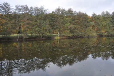 Reflection of trees in lake against sky