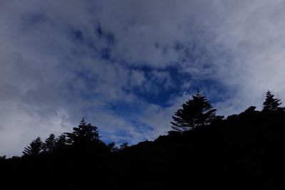 Low angle view of silhouette trees against sky