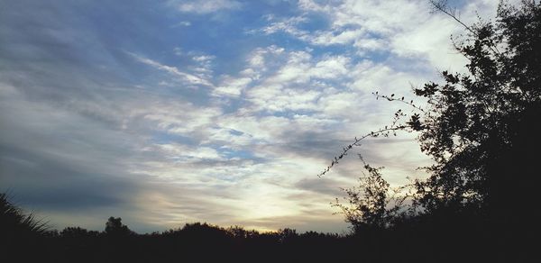 Low angle view of silhouette trees against sky