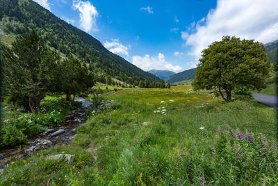 Scenic view of green landscape and mountains against sky