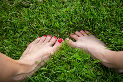 Cropped image of woman hand on grass