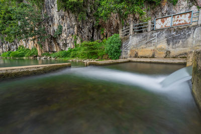 Scenic view of river amidst trees