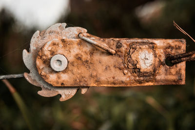 Close-up of rusty metal