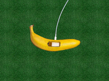 High angle view of yellow shoes on grass