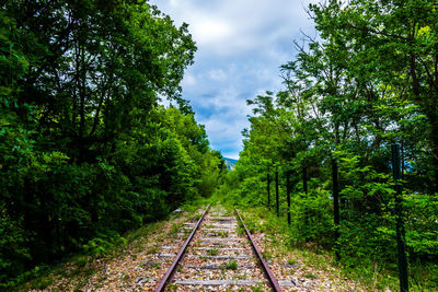 Railroad tracks amidst trees against sky