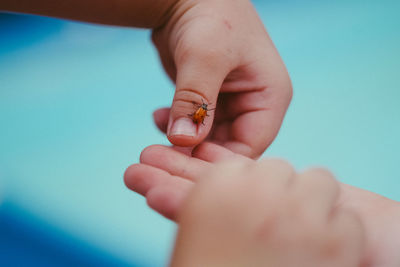 Close-up of hand holding baby over blue background