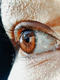 Extreme close-up of human eye