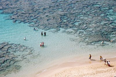 High angle view of people at hanauma bay