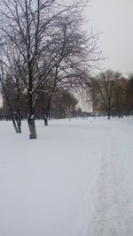 Bare trees on snow covered landscape