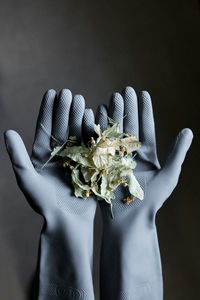 Cropped image of hands wearing gloves while holding dry plants against wall