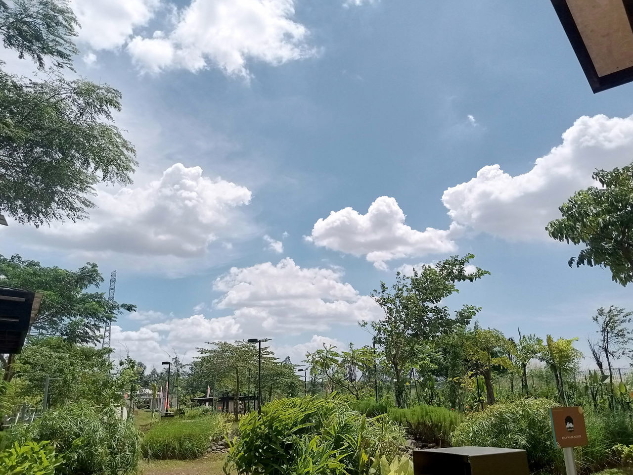 cloud, tree, plant, sky, nature, architecture, building, house, built structure, building exterior, no people, environment, residential district, outdoors, beauty in nature, rural area, residential area, day, landscape, city, growth, green