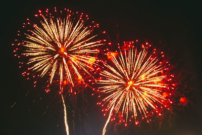Low angle view of firework display at night