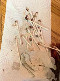 High angle view of dry flowers on table