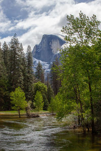 Scenic view of lake in forest against sky