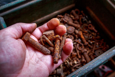 Cropped hand holding rusty screws