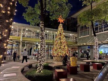 Illuminated christmas tree in city at night