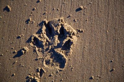 Close-up of footprints on sand at beach