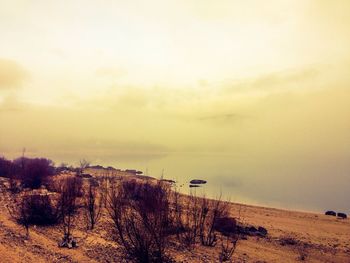 Scenic view of landscape against sky