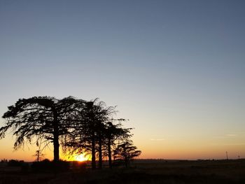 Silhouette of trees on landscape at sunset