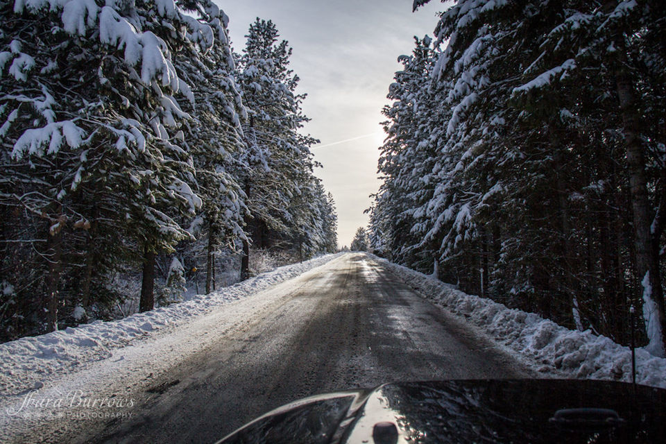 transportation, the way forward, diminishing perspective, road, tree, vanishing point, mode of transport, land vehicle, car, sky, road marking, snow, street, nature, windshield, day, no people, outdoors, winter, cold temperature