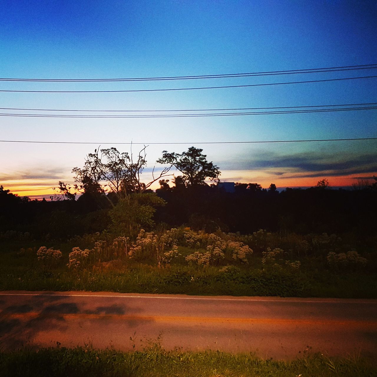 sunset, road, cable, tree, street, power line, blue, electricity, power cable, tranquil scene, sky, tranquility, electricity pylon, country road, outdoors, scenics, nature, solitude, countryside, remote, power supply, cloud - sky, long, beauty in nature