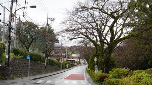 Road amidst trees against sky