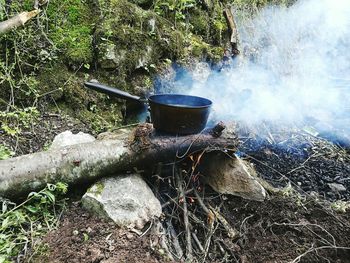 High angle view of fire in the forest