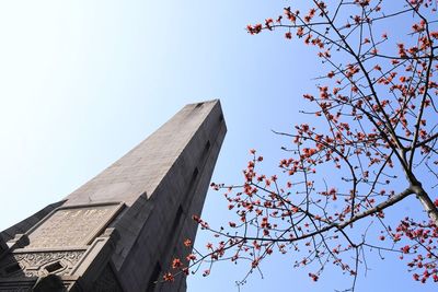 Low angle view of flowering tree and building against clear sky
