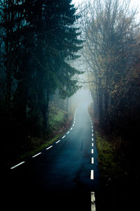 Road amidst trees in forest