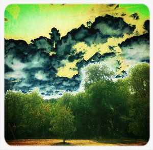 Trees against cloudy sky