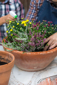 Close-up of hand holding potted plant