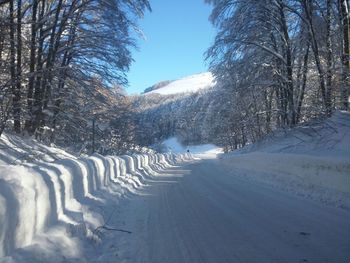 Snow covered trees against sky