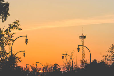 Silhouette of trees at sunset