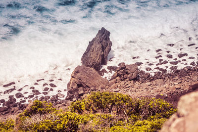 High angle view of rock formation on sea shore