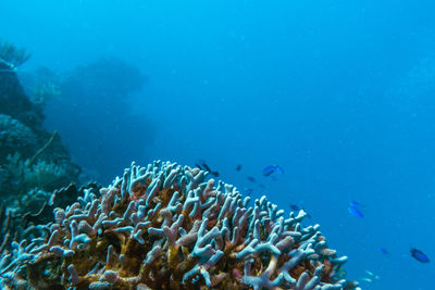 Close-up of sea