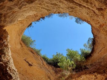 Low angle view of trees seen through hole