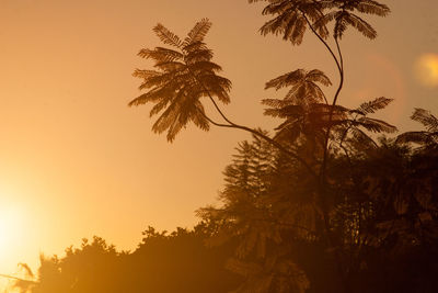 Low angle view of silhouette trees against sky during sunset