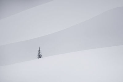 Snow covered land and mountains against sky