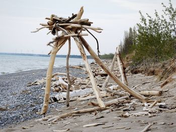 Driftwood on beach against sky