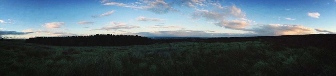 tranquil scene, sky, landscape, tranquility, scenics, field, beauty in nature, nature, cloud - sky, cloud, growth, grass, blue, plant, rural scene, tree, non-urban scene, idyllic, horizon over land, outdoors