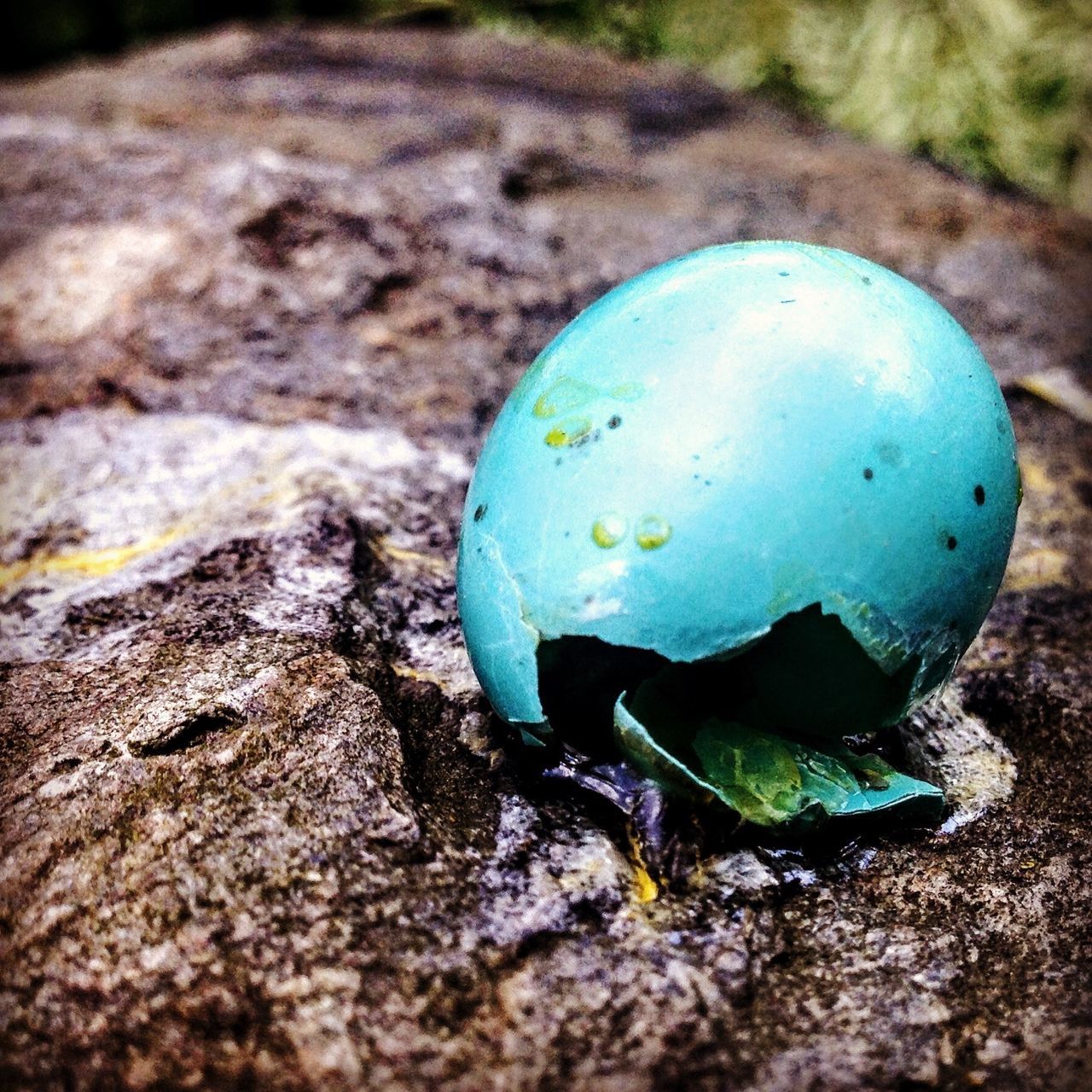 rock - object, close-up, blue, stone - object, focus on foreground, nature, rock, stone, day, sand, outdoors, selective focus, no people, beach, high angle view, textured, ground, moss, field, pebble