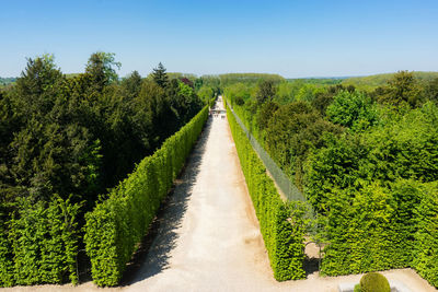 Panoramic shot of road amidst trees against sky