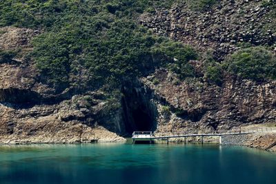 Scenic view of lake in forest