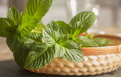Close-up of mint leaves in basket