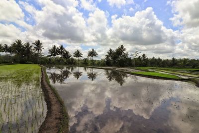 Scenic view of lake against sky