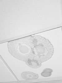 Close-up of smiley face