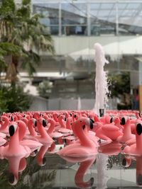 Close-up of stuffed toy flowing on water