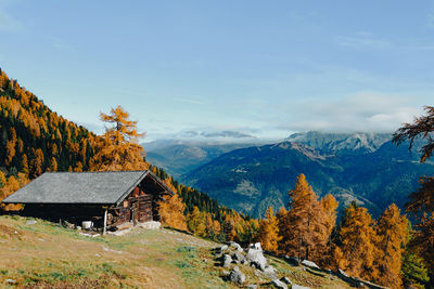 Scenic view of landscape against sky during autumn