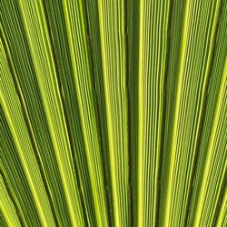 Full frame shot of abstract background